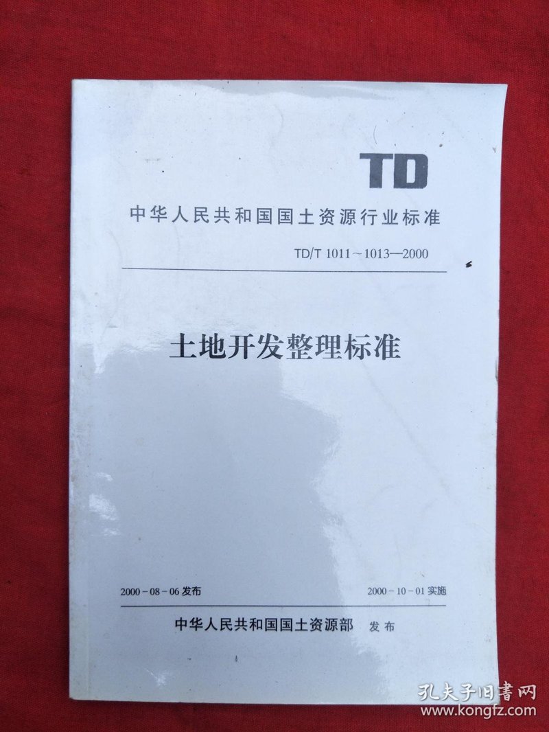 新区开发公司的机遇与挑战